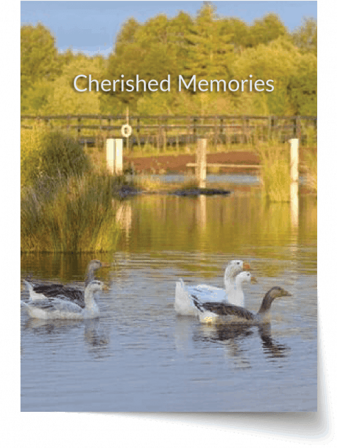 kildare-memorial-cards-2